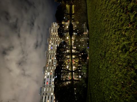 Annelinnas asuv Saare tiik