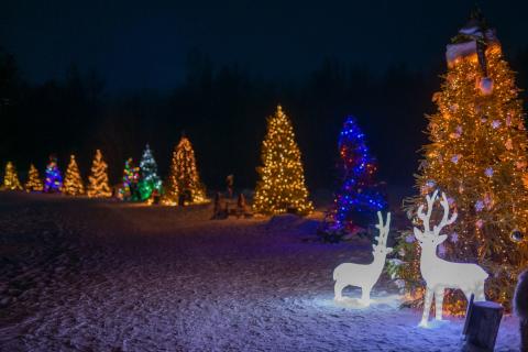 Google - Talveküla 2024