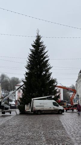 Tartusse jõudis teisipäeval jõulukuusk.
