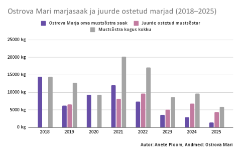 Ostrova Mari marjasaak ja juurde ostetud marjad