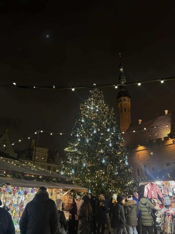 Traditsiooniline jõulupuu Tallinnas Raekoja platsil.