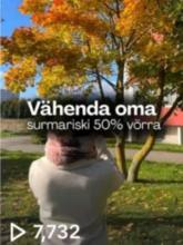 Uko Ruusmaa Tiktoki postituse eelvaade.