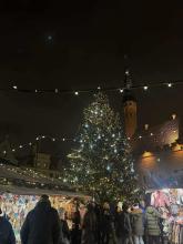 Traditsiooniline jõulupuu Tallinnas Raekoja platsil.