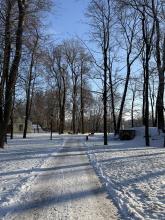 Selle aasta esimene lumi Tartu tänavatel